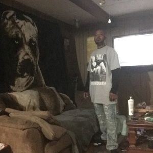 Meet your Posher, Dwight